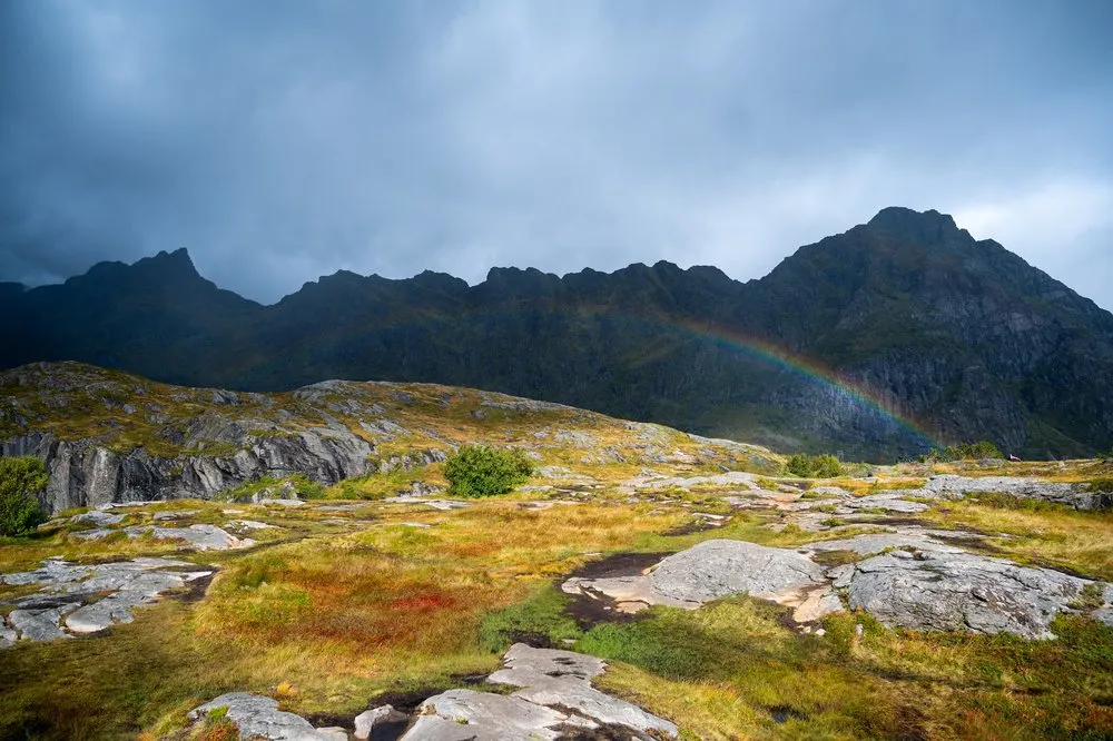 Ein Regenbogen steht vor einem dunklen Bergkamm über einer Felsfläche mit gelbem und rotem Gras