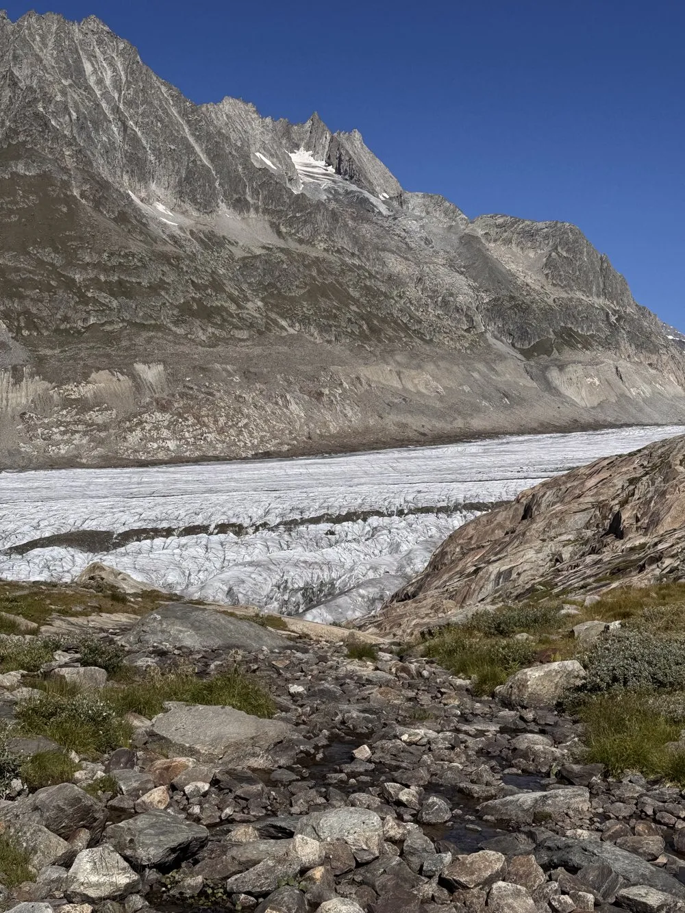 Über den Aletschgletscher zur Konkordiahütte. Bild 5