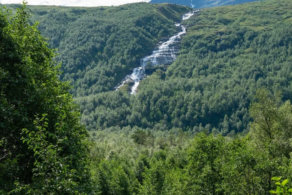 Wasserfall über einer grünen Bergflanke im Innerdalen, davor ein Bach zwischen Birken