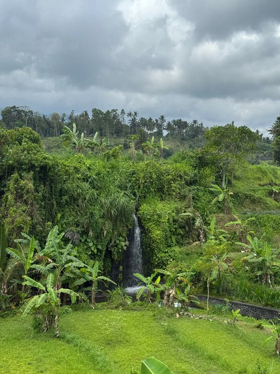 Ein kleiner Wasserfall fällt zwischen dichtem Grün, davor eine Wiese