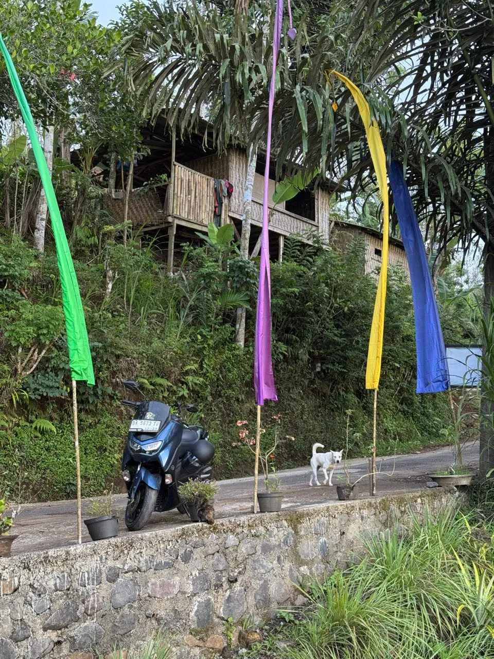Ein blauer Roller und ein weisser Hund an einer schmalen Strasse, davor bunte Fahnen auf Bambusstangen