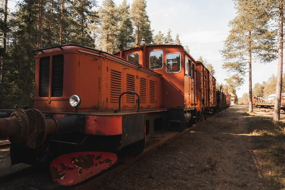 Rostrote Lokomotive mit Güterwagen auf einem Gleis im sonnigen Kiefernwald