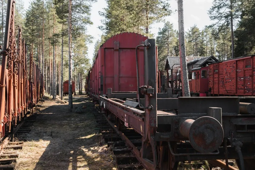 Ein Gleis zwischen rostroten Güterwagen, links ein Wagen mit Ketten, im Hintergrund Kiefern