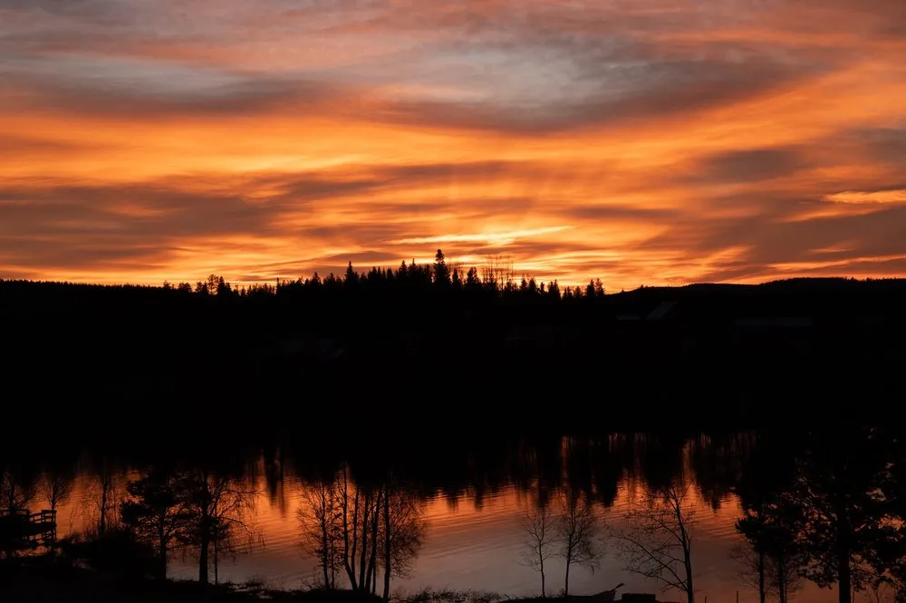 Tieforangefarbener Himmel über schwarzen Baumsilhouetten, im Wasser darunter spiegelt sich das Abendrot