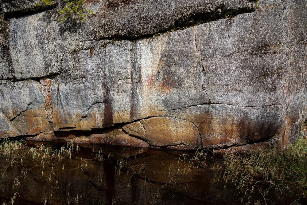 Die graue Granitwand bei Brattfors mit der alten Felsmalerei, davor dunkles Wasser und Gras