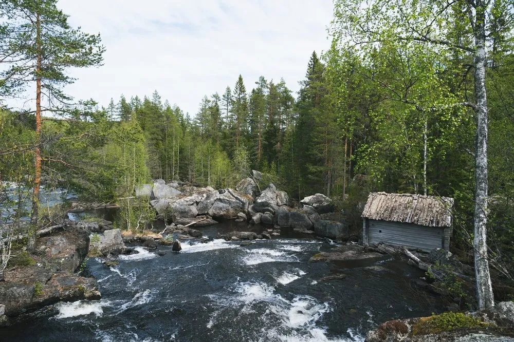 Stromschnellen zwischen Felsblöcken, am Ufer eine alte graue Holzhütte im Nadelwald