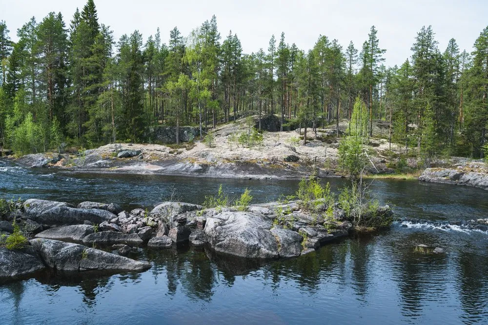 Felsblöcke im dunklen Fluss, dahinter flache Felsen und Kiefern am Ufer