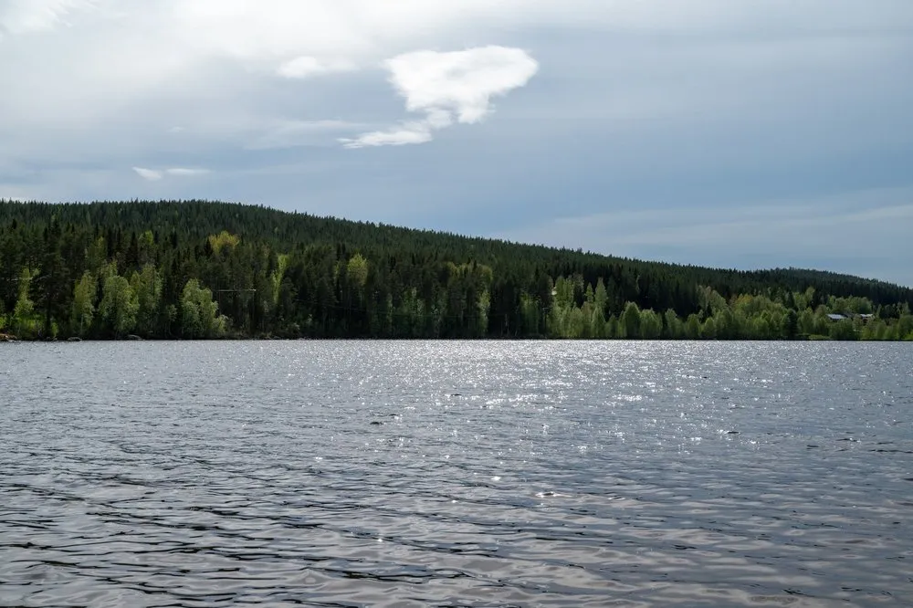 Blick über den See auf einen bewaldeten Hügel, die Sonne glitzert im Wasser
