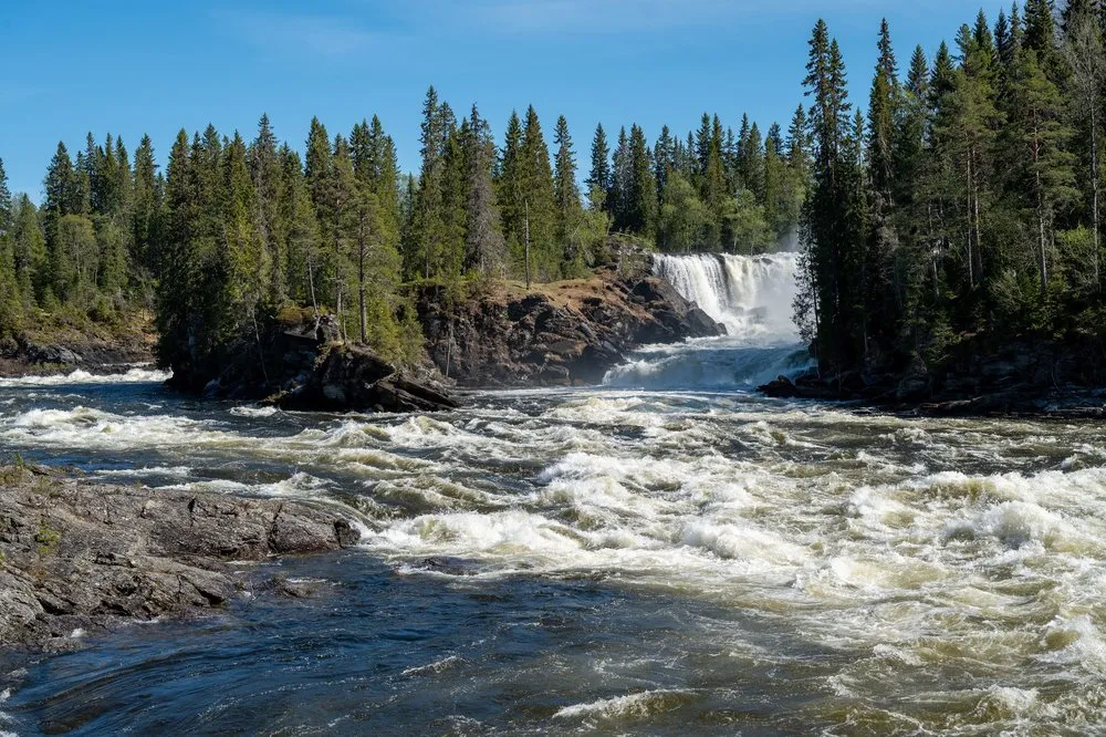 Der Ristafallet im Hintergrund, davor weiss schäumendes Wasser über Felsen und Nadelwald an beiden Ufern