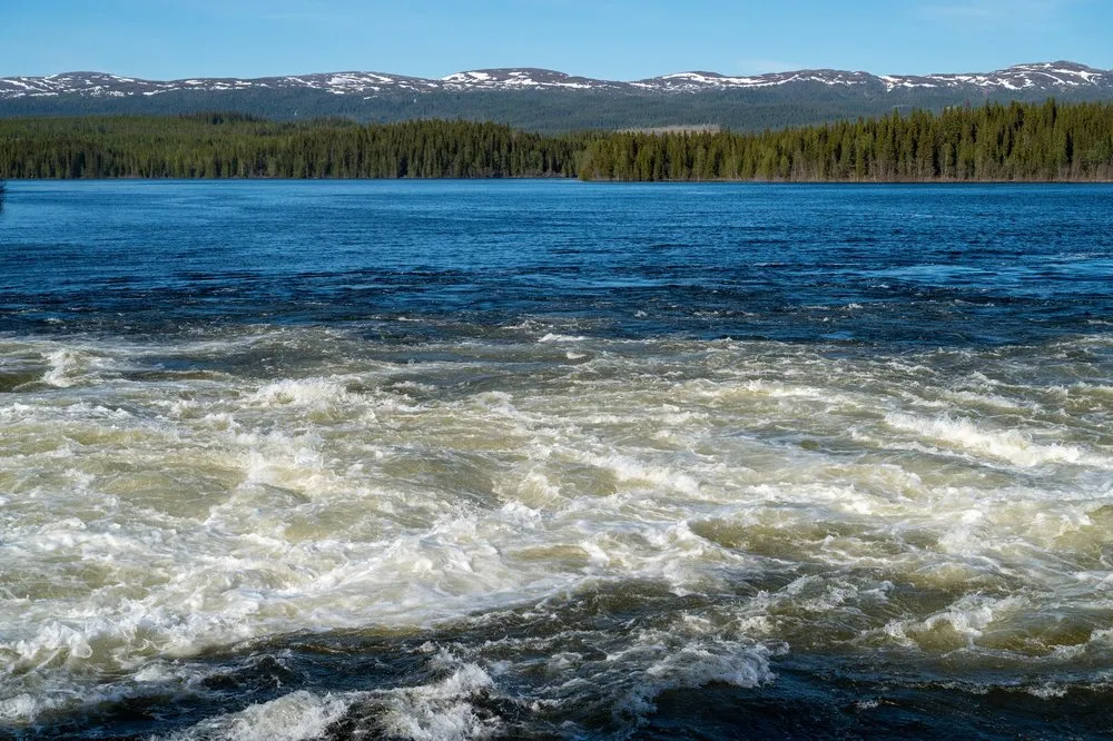 Weiss schäumendes Flusswasser vor bewaldeten Ufern, am Horizont Berge mit Schneeflecken