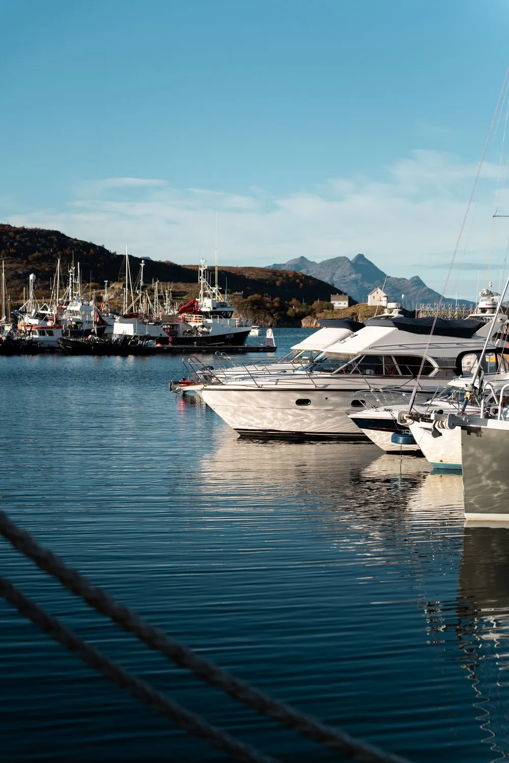 Weisse Motorjachten und Fischerboote im Hafen von Bodø bei Sonnenschein, in der Ferne die Berge