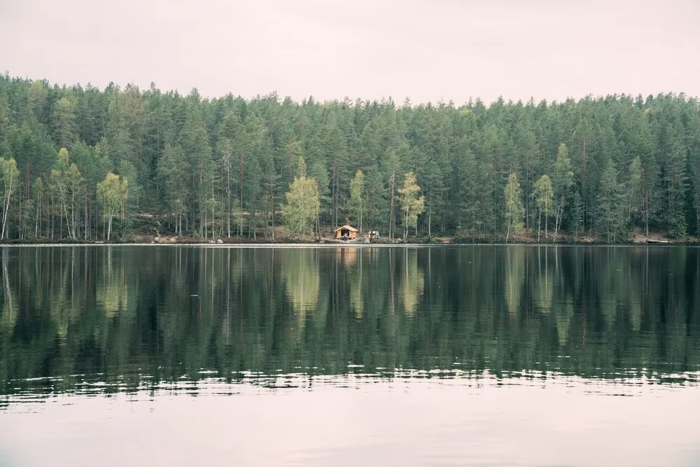 Eine kleine Holzhütte am gegenüberliegenden Ufer, umgeben von hellgrünen Birken und Kiefern