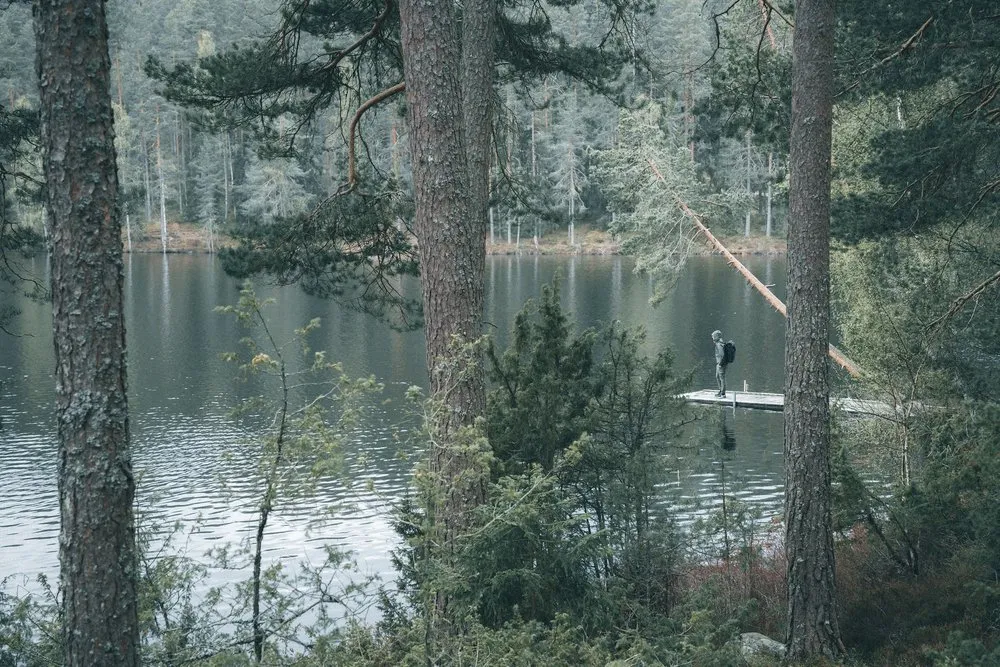 Zwischen Kiefernstämmen hindurch sieht man eine Person mit Rucksack auf einem Holzsteg am See