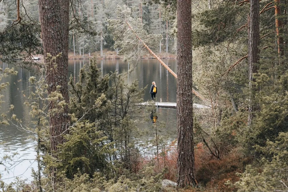 Eine Frau mit gelbem Rucksack steht auf einem Steg am See, im Vordergrund dicke Kiefernstämme