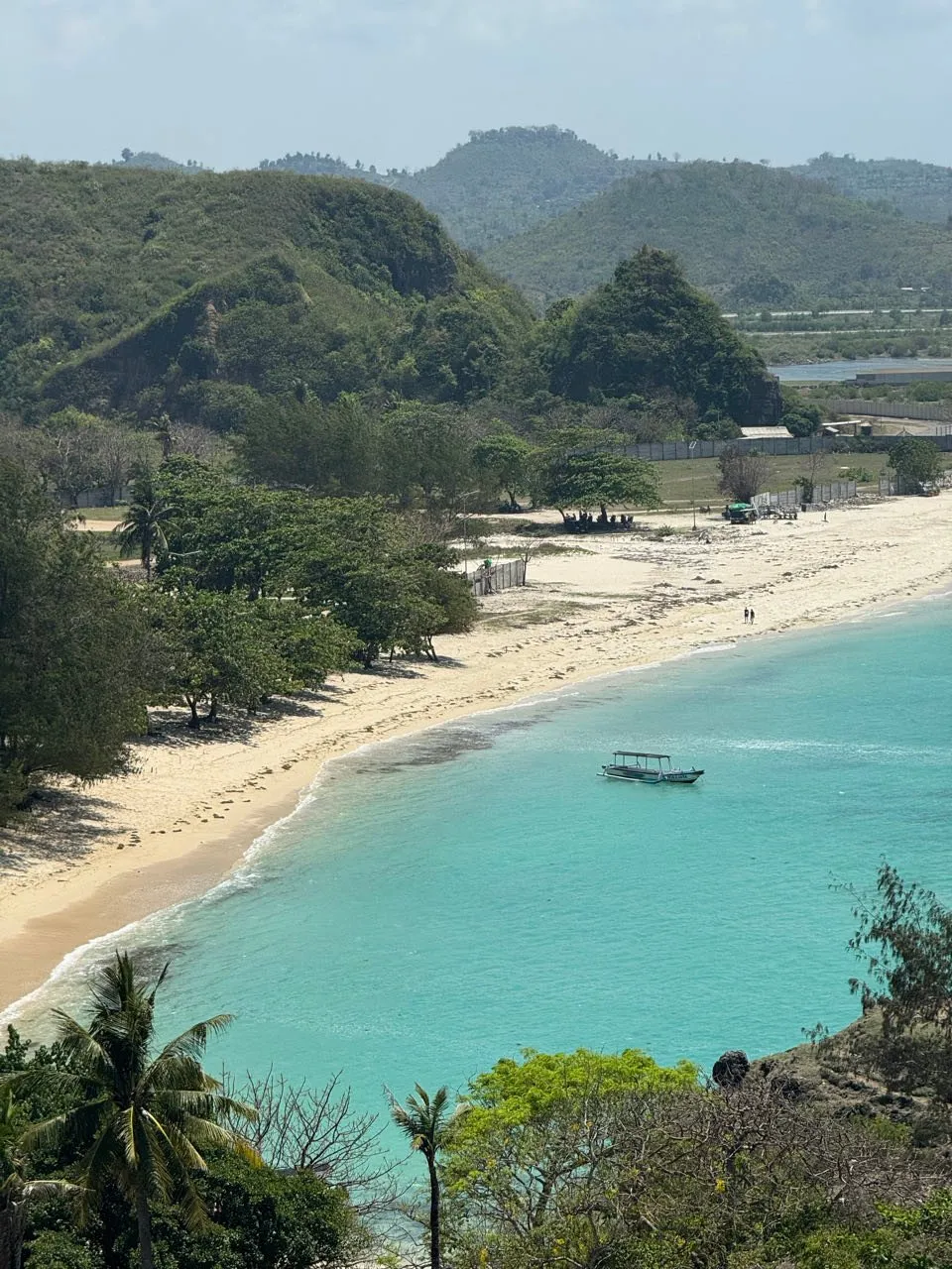 Blick von oben auf eine Bucht mit hellem Sandstrand, dahinter grüne Hügel, im Vordergrund Palmen und Büsche
