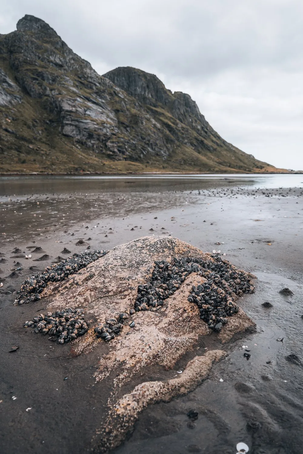 Bunes Beach. Bild 15