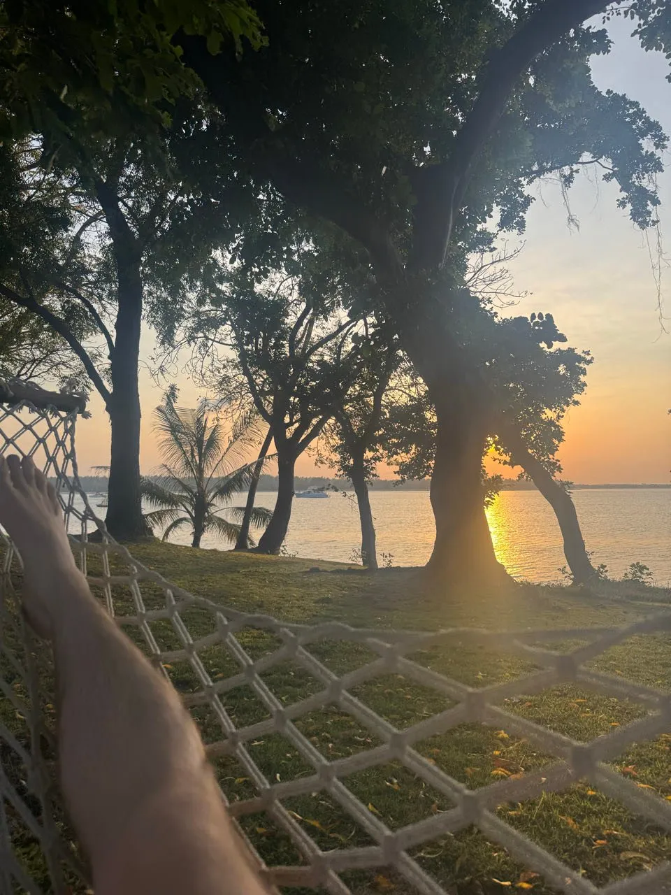 Blick aus der Hängematte durch Bäume auf das Meer, wo sich die tief stehende Sonne spiegelt