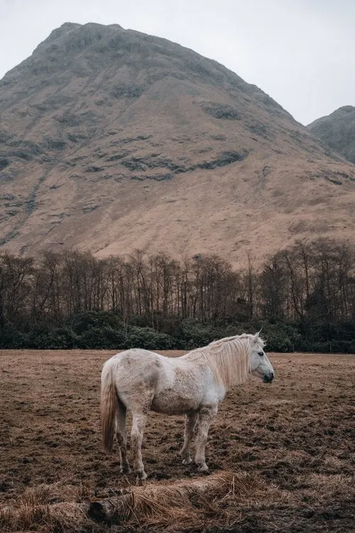 Glen Etive. Bild 2