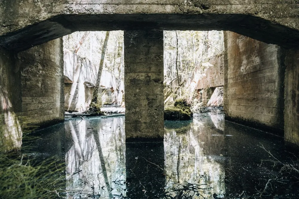 Blick unter einer Betondecke mit mittlerem Pfeiler hindurch über schwarzes Wasser in den Wald