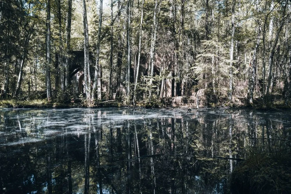 Dunkler Teich mit Spiegelungen der Bäume, dahinter im Wald das Mauerwerk der Ruine
