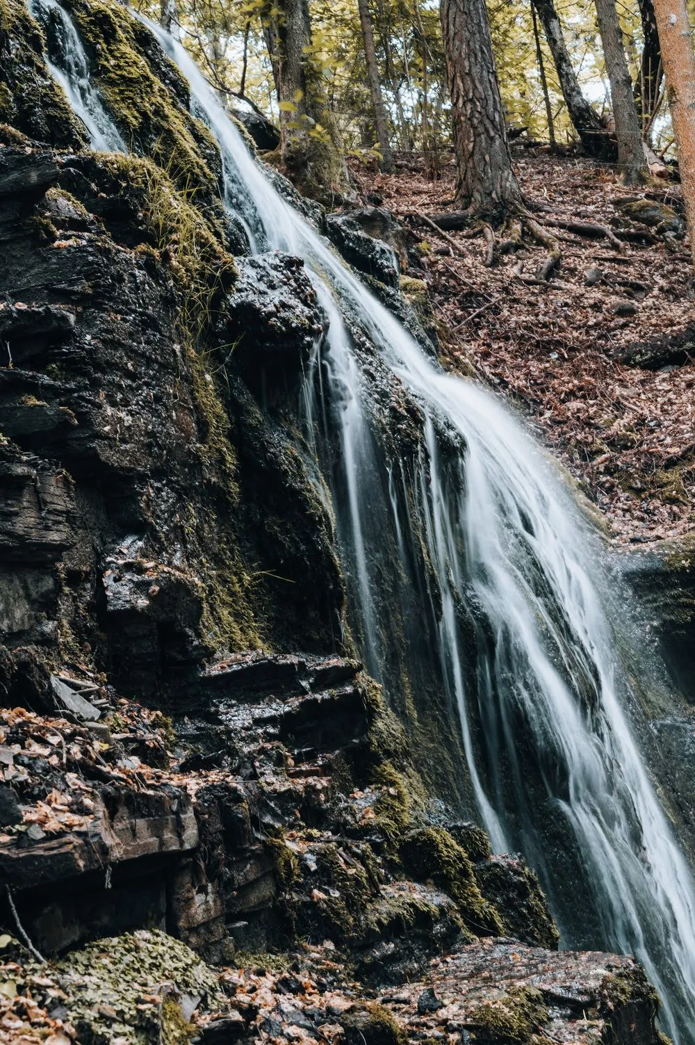 Wasserfall über dunkles, geschichtetes Gestein, im Hintergrund Kiefernstämme