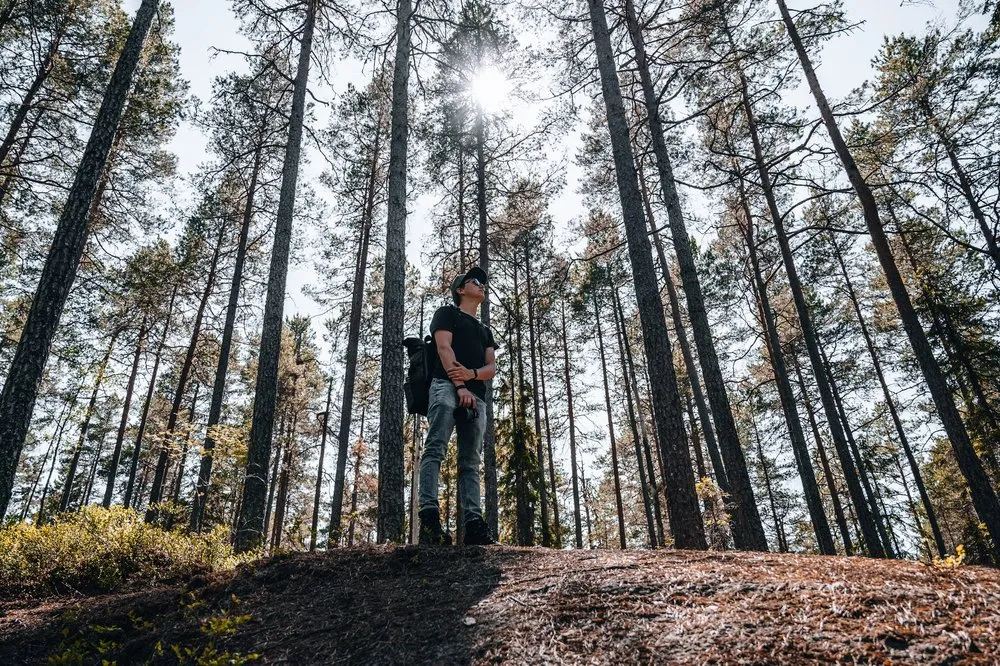 Mann mit Rucksack steht auf einer Anhöhe in einem hohen Kiefernwald, zwischen den Stämmen scheint die Sonne
