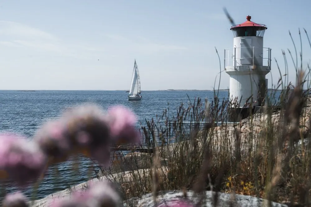 Ein weisser Leuchtturm mit rotem Dach, daneben ein Segelboot auf dem Meer, im Vordergrund unscharfe rosa Blüten