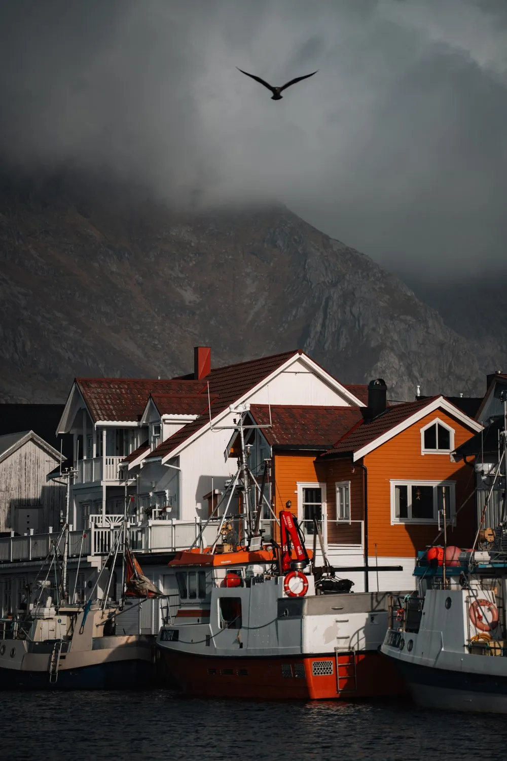 Rot-weisse Fischerboote vor einem orangen Haus im Hafen von Henningsvær, oben fliegt eine Möwe