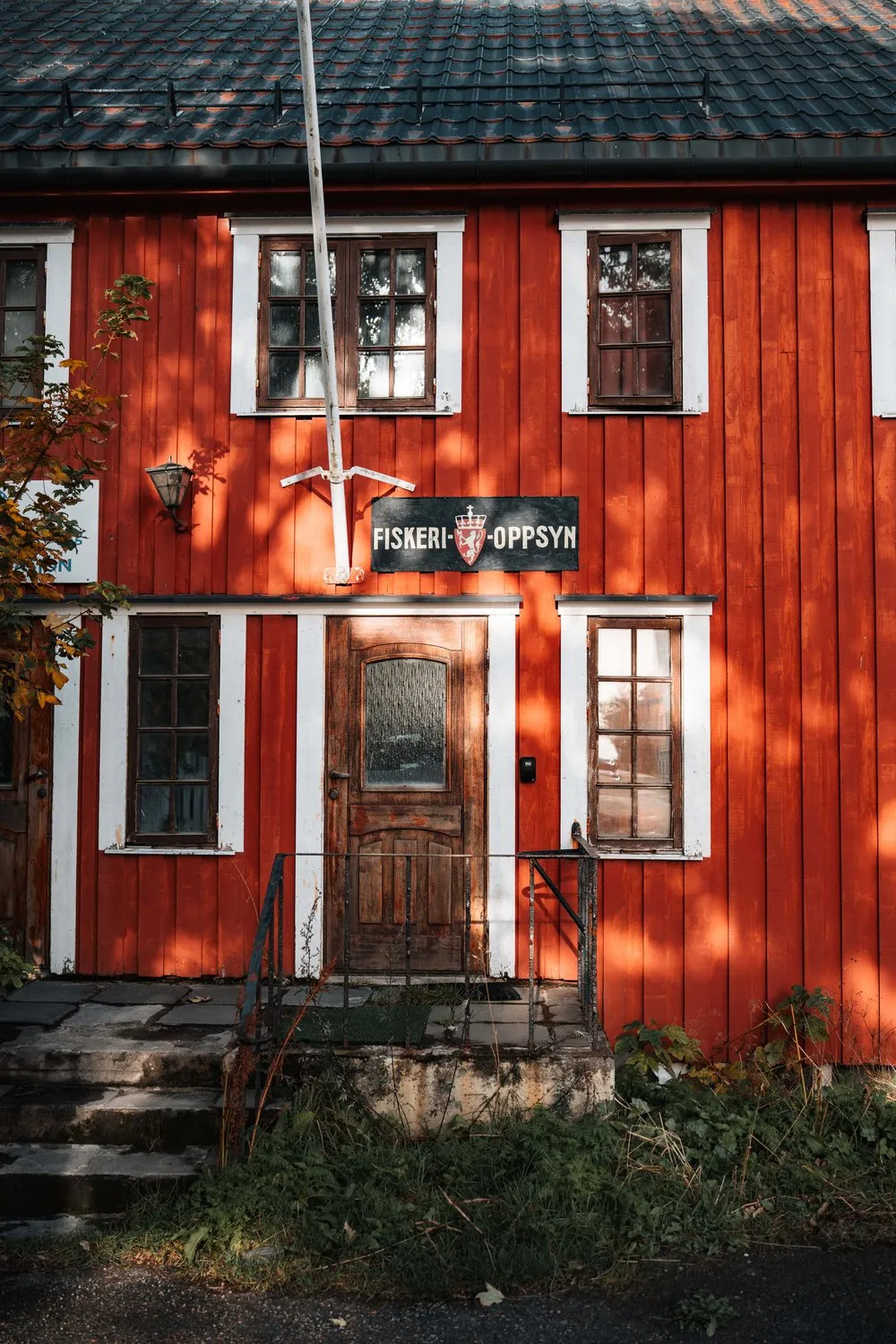 Das rote Holzhaus der Fischereiaufsicht, «Fiskerioppsyn», in Henningsvær im Licht und Schatten eines Baumes