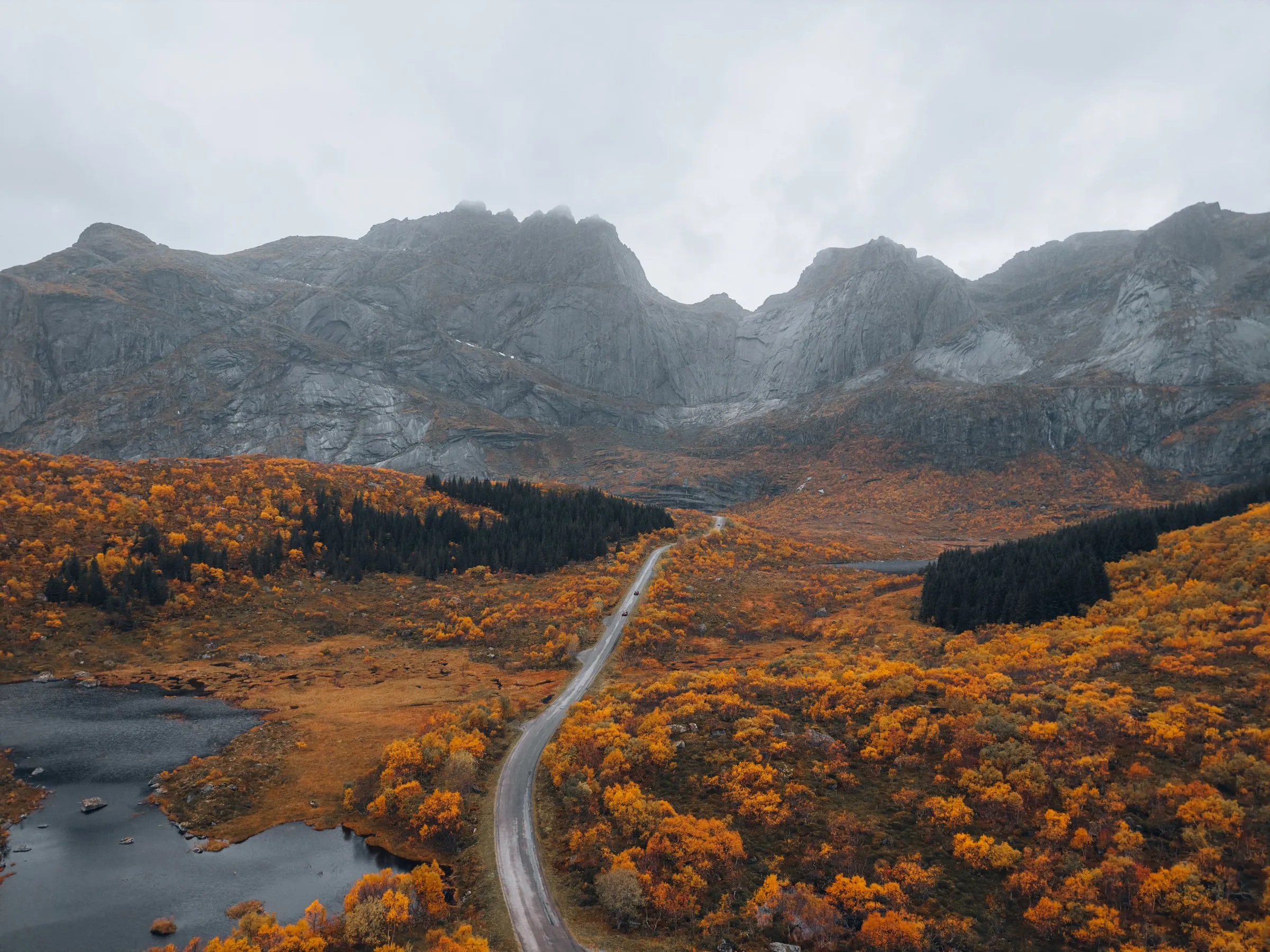 Die Strasse nach Nusfjord aus der Luft, sie schlängelt sich durch gelb und orange gefärbte Büsche auf graue Felswände zu