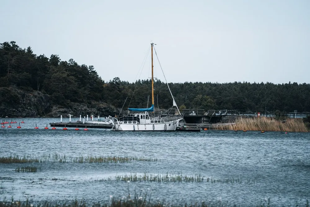 Segelboot an einem Steg vor bewaldetem Ufer, davor Schilf im Wasser