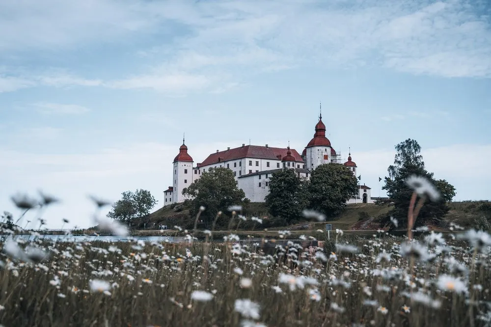 Wiese mit blühenden Margeriten, dahinter das Schloss mit roten Dächern auf einer Anhöhe