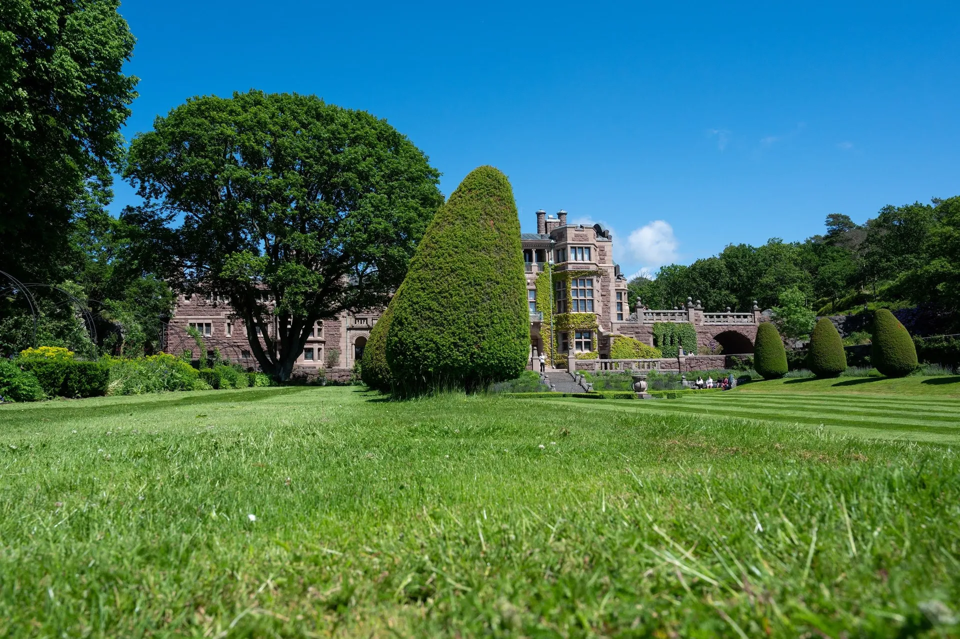 Das Schloss Tjolöholm hinter einer gemähten Wiese und einem kegelförmig geschnittenen Baum