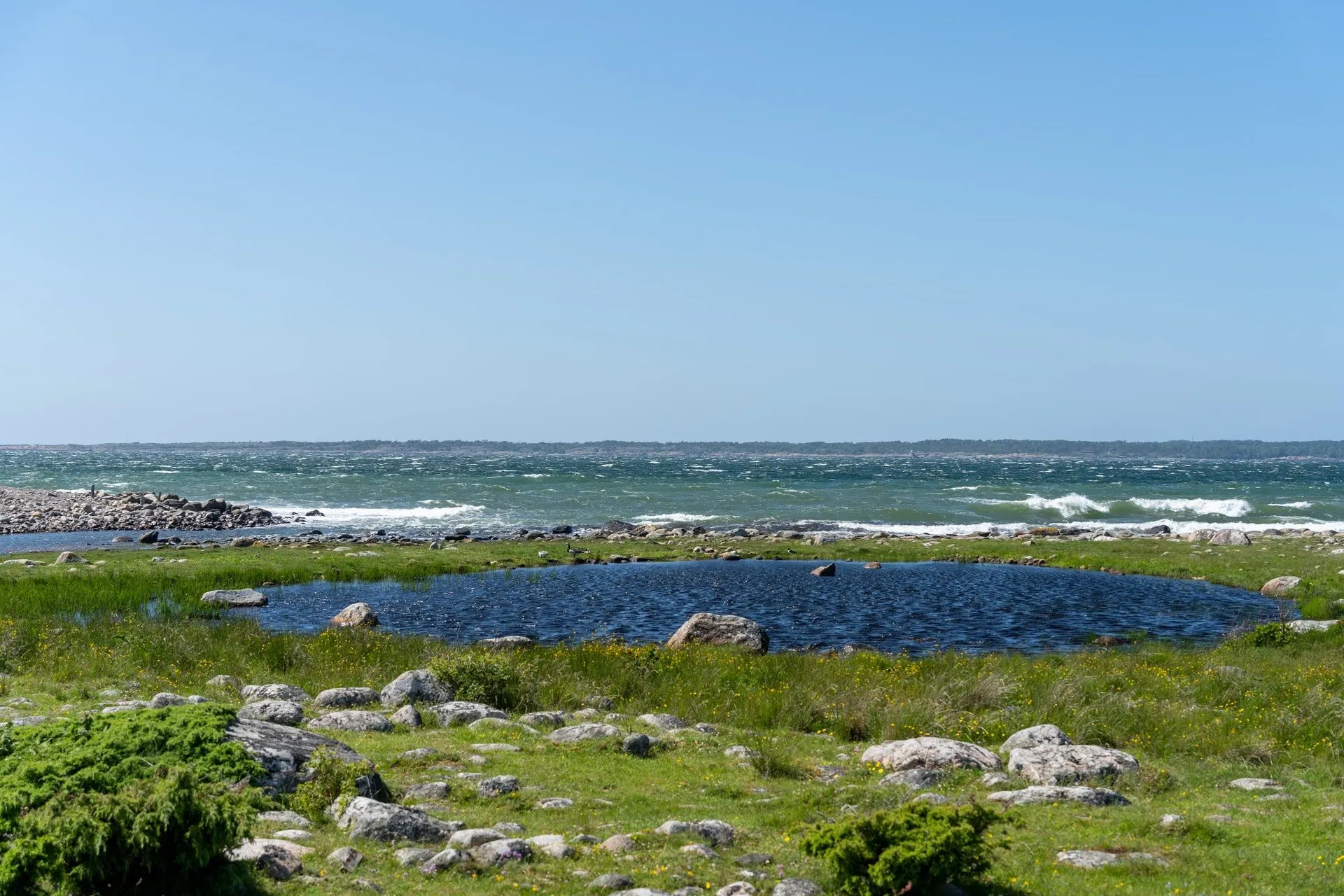 Ein kleiner Teich in einer grasigen Küstenlandschaft mit Steinen, dahinter das Meer mit weissen Wellen