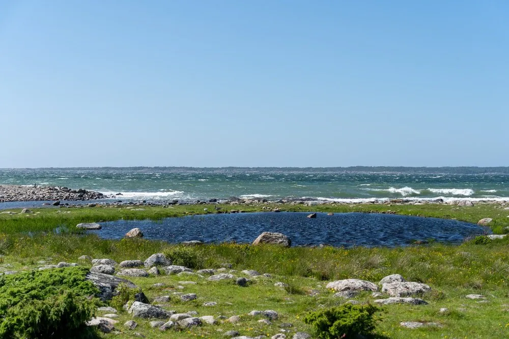 A small pond in a grassy coastal landscape with stones, the sea with white waves behind
