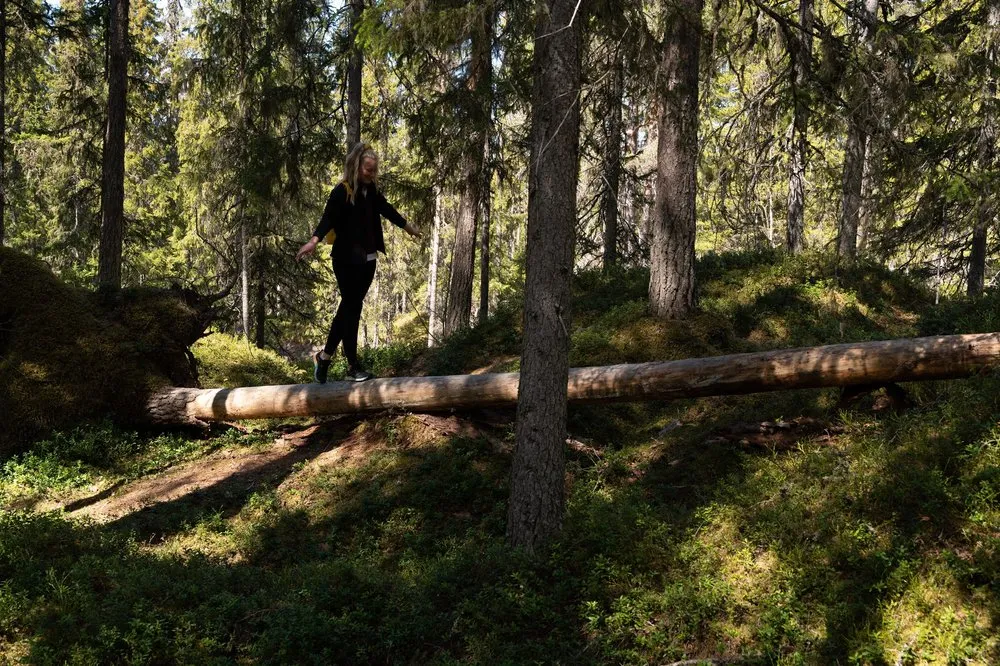 Eine Frau balanciert im sonnigen Fichtenwald über einen liegenden Baumstamm