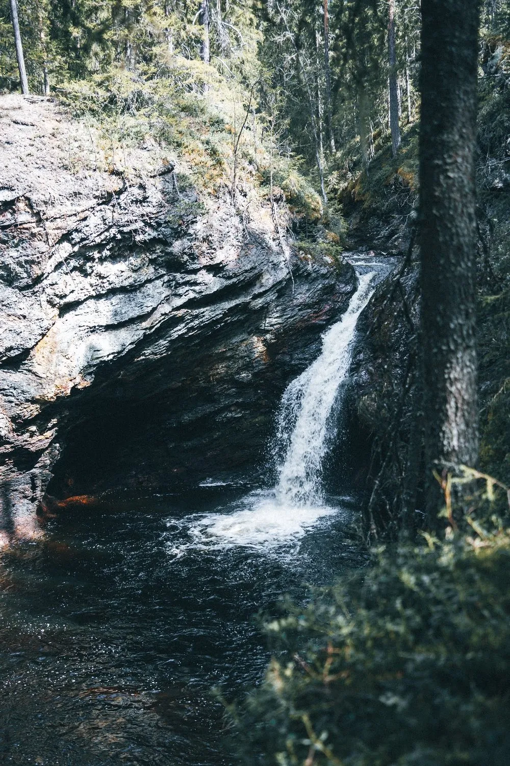 Der Tvärfallet stürzt über eine Felskante in ein dunkles Becken, rechts steht ein Baum