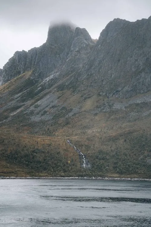 Husøy. Bild 4
