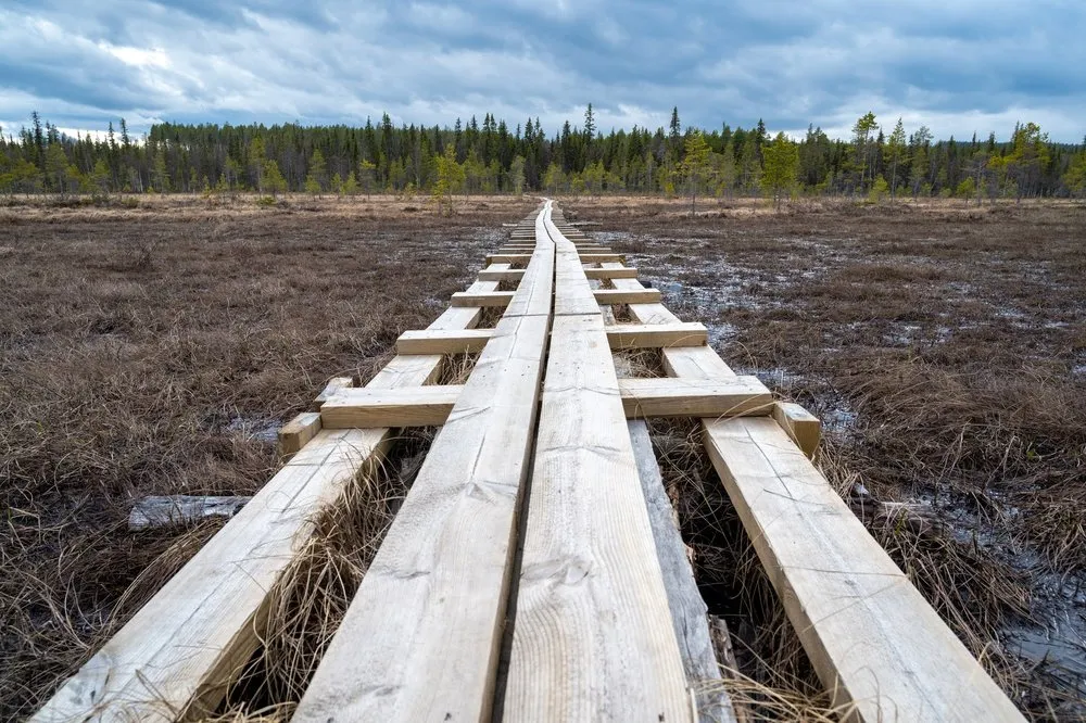 Der Holzsteg führt geradeaus durch das Moor Grodkällan på Slengmyren, dahinter beginnt Nadelwald