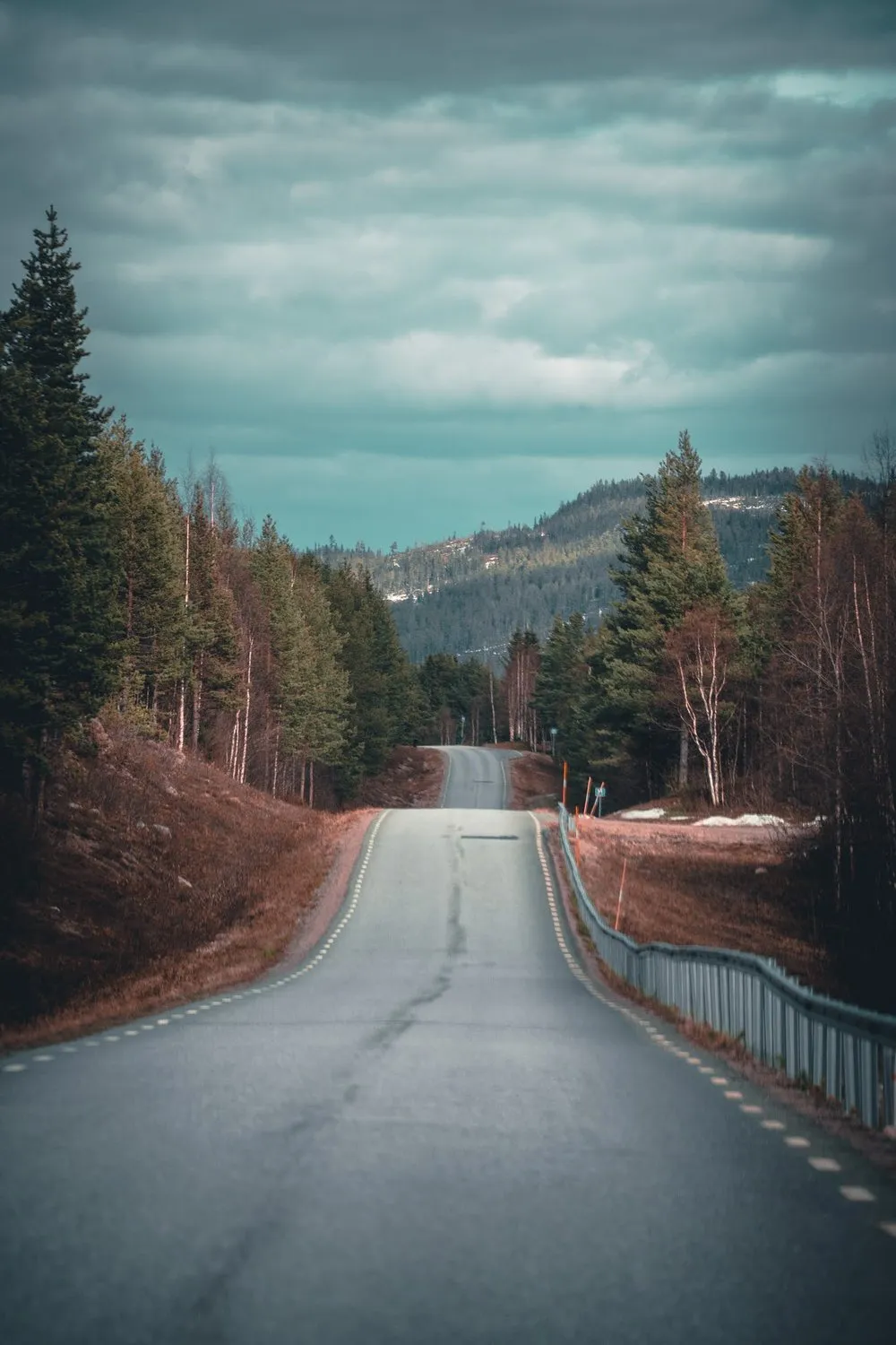 Eine leere Strasse mit Leitplanke führt durch Nadelwald auf eine Anhöhe zu, darüber dunkle Wolken