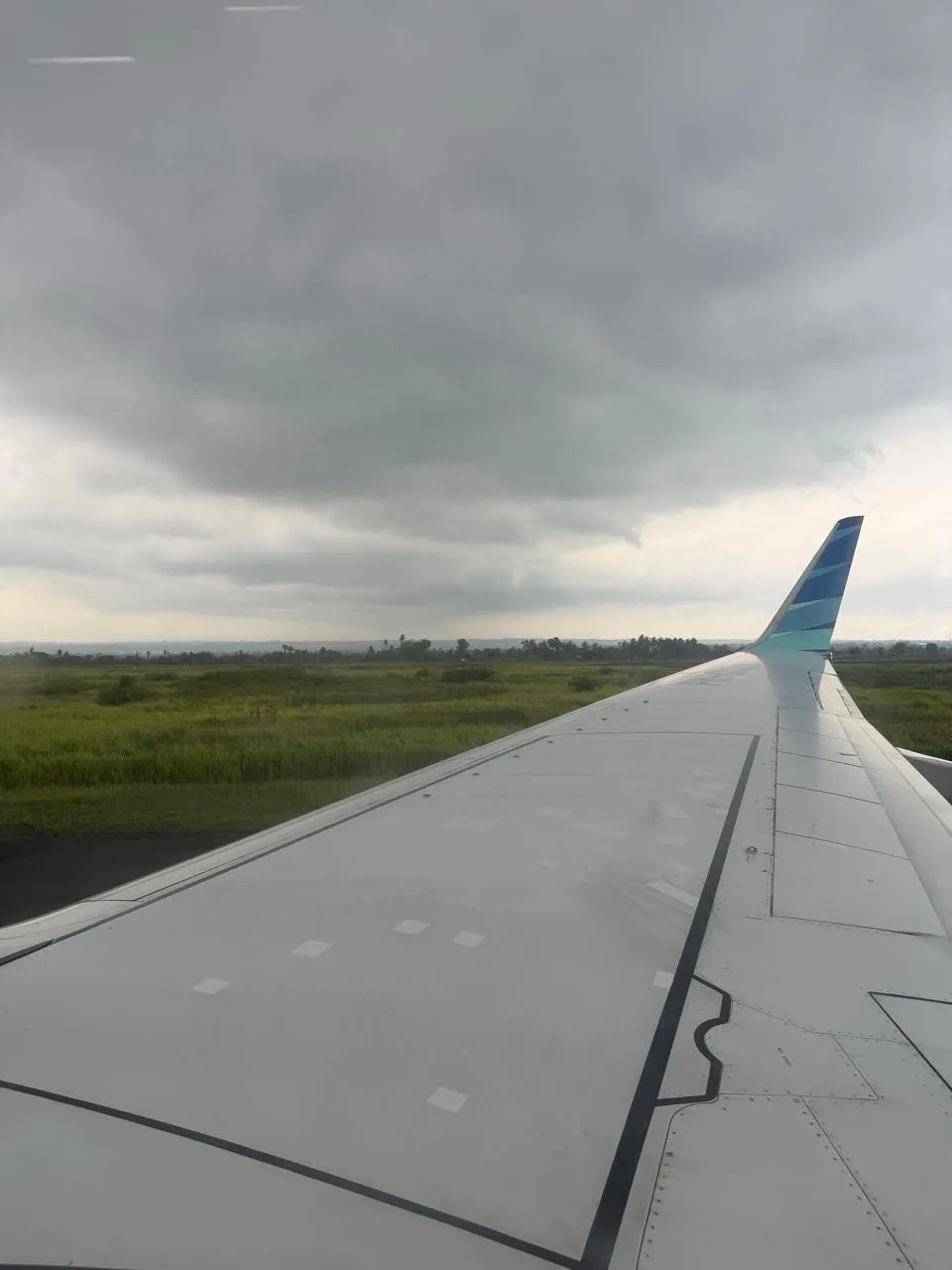 Flugzeugflügel mit blauer Spitze vor einer grünen Wiese und tiefen grauen Wolken