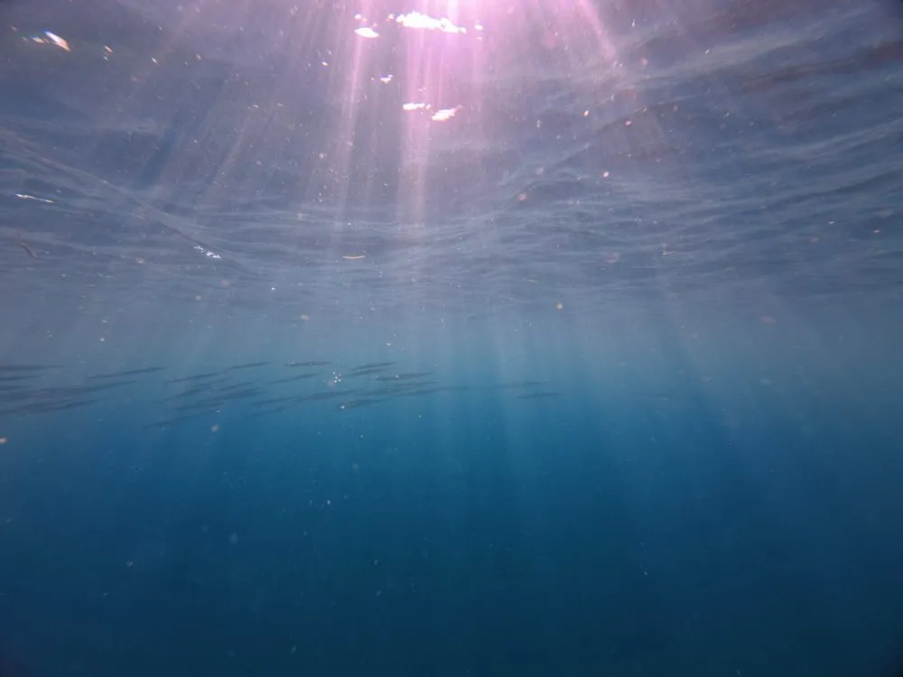 Sunrays fall through the water surface into the deep blue, in the distance a shoal of slender fish passes