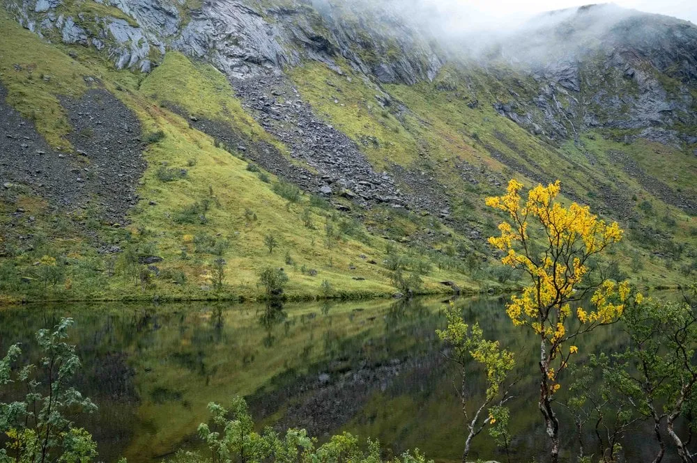 Mefjordvær