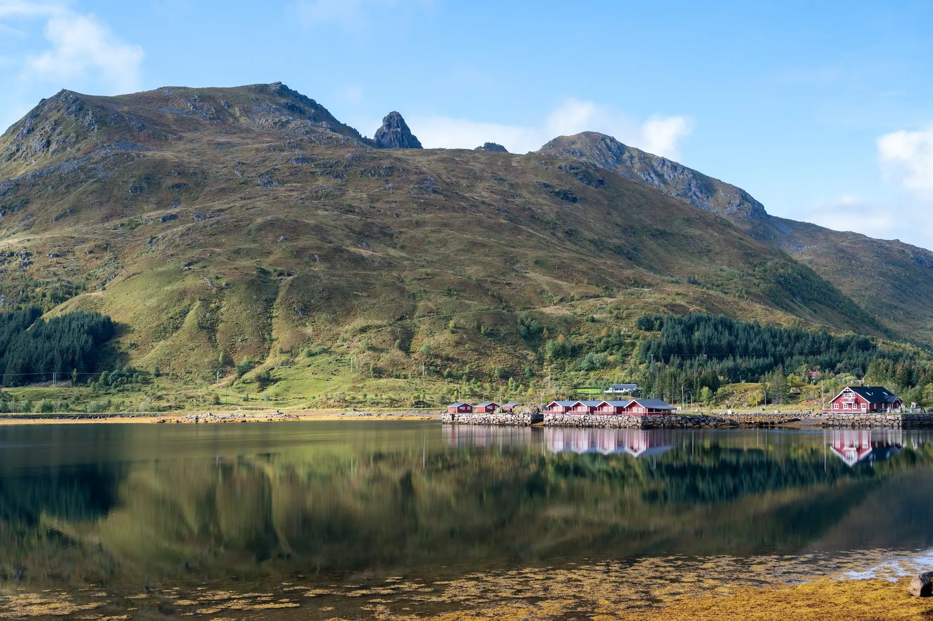 Red huts on the shore are reflected in the calm water, behind them a green mountain with conifer forest under a blue sky
