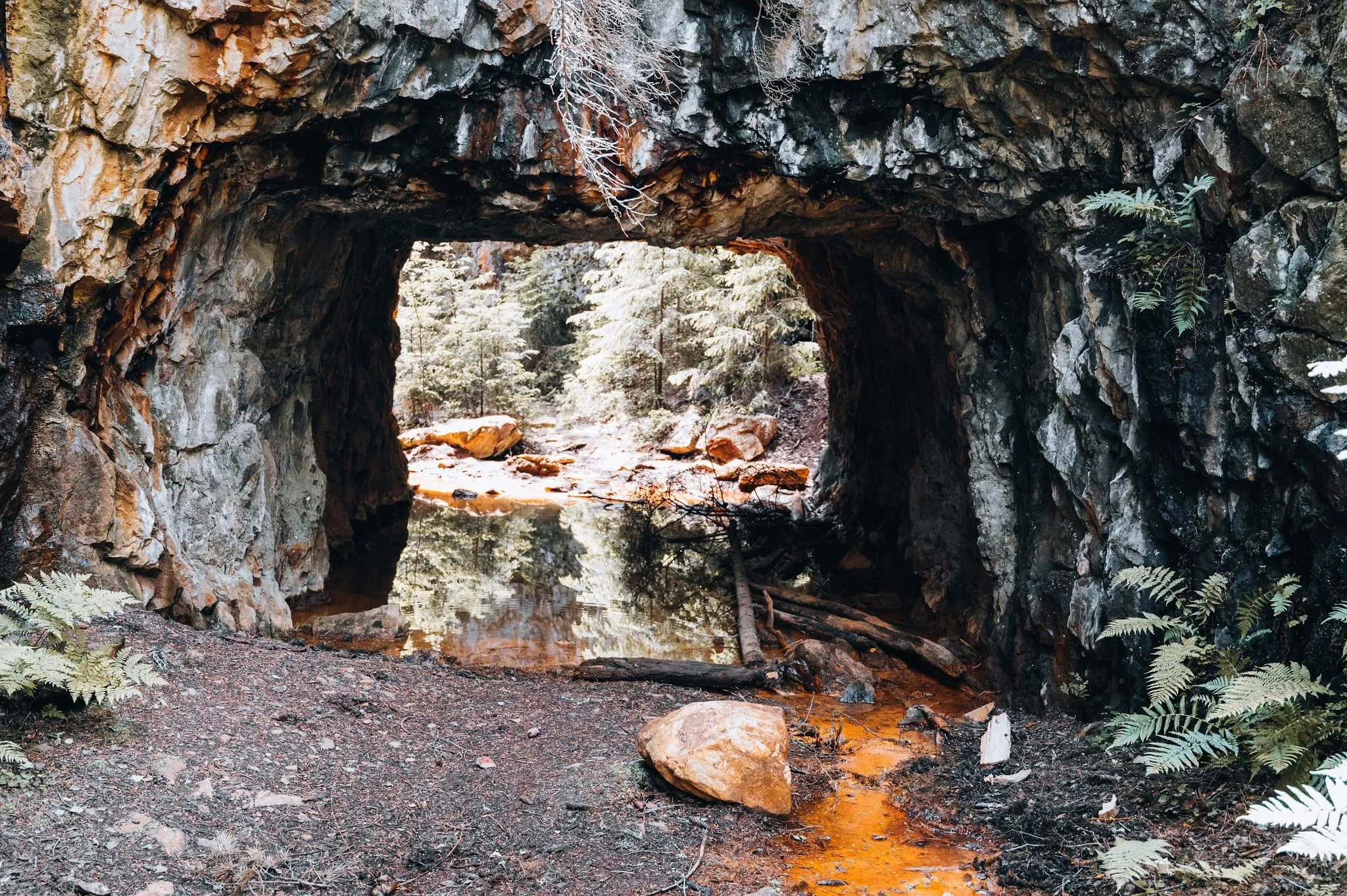 Felsdurchgang am Eingang der Mine von Sätragruvan, am Boden orange gefärbtes Wasser, rechts Farn, dahinter Wald