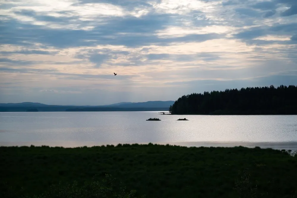 Abendstimmung über einem See, ein Vogel fliegt über das Wasser, am Ufer dunkler Wald