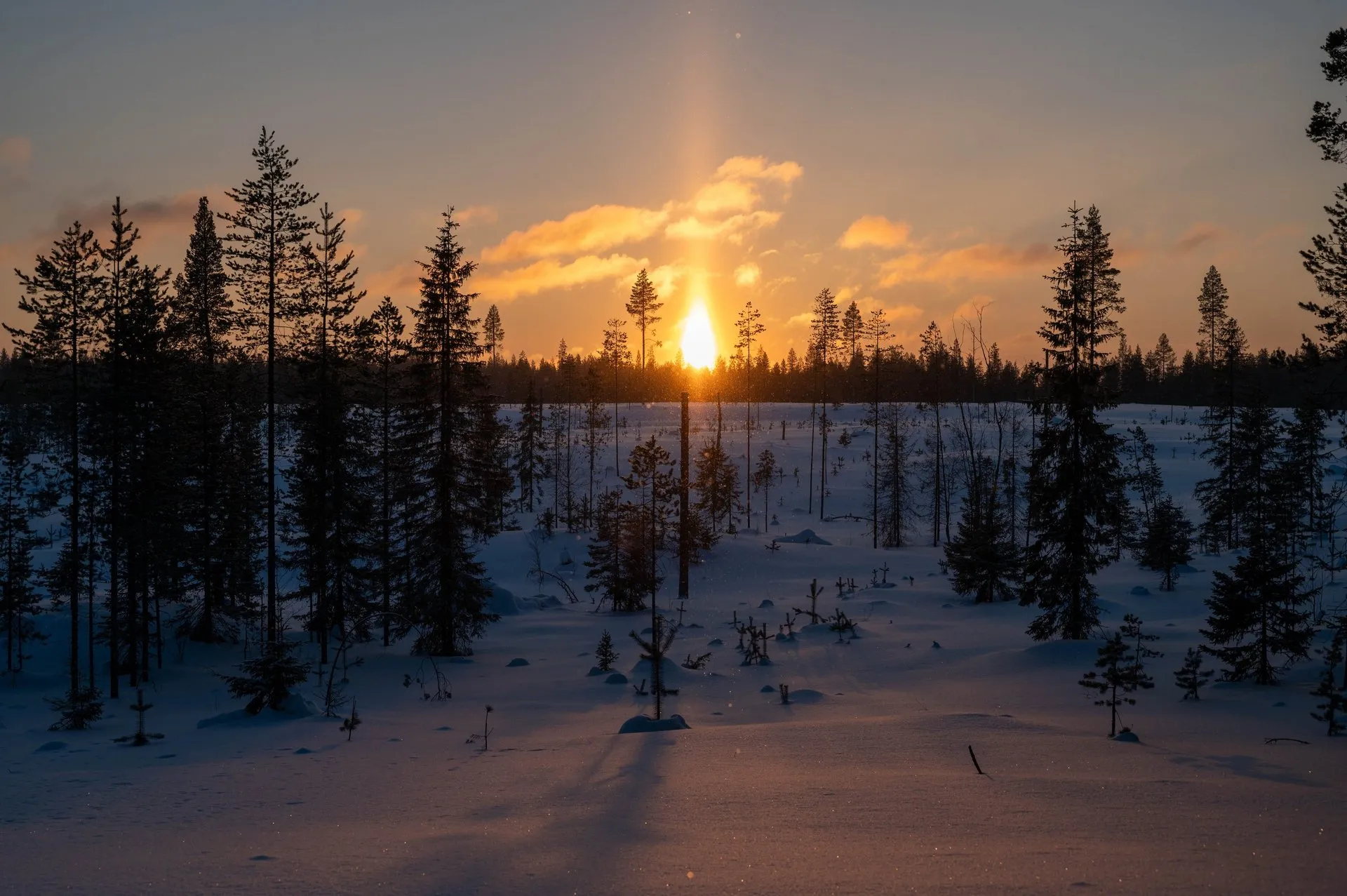 Oulanka Nationalpark. Bild 10