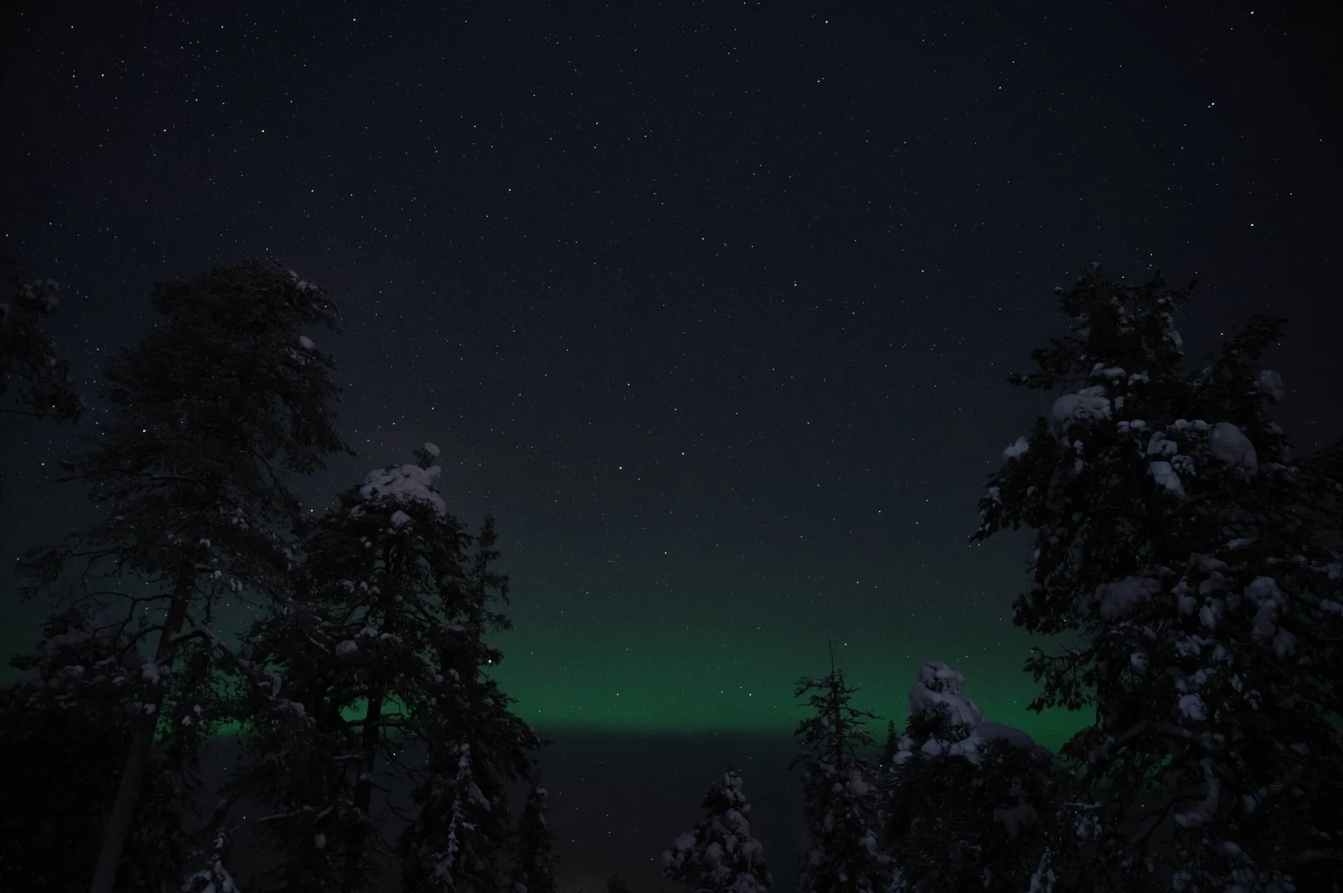 Oulanka Nationalpark. Bild 11