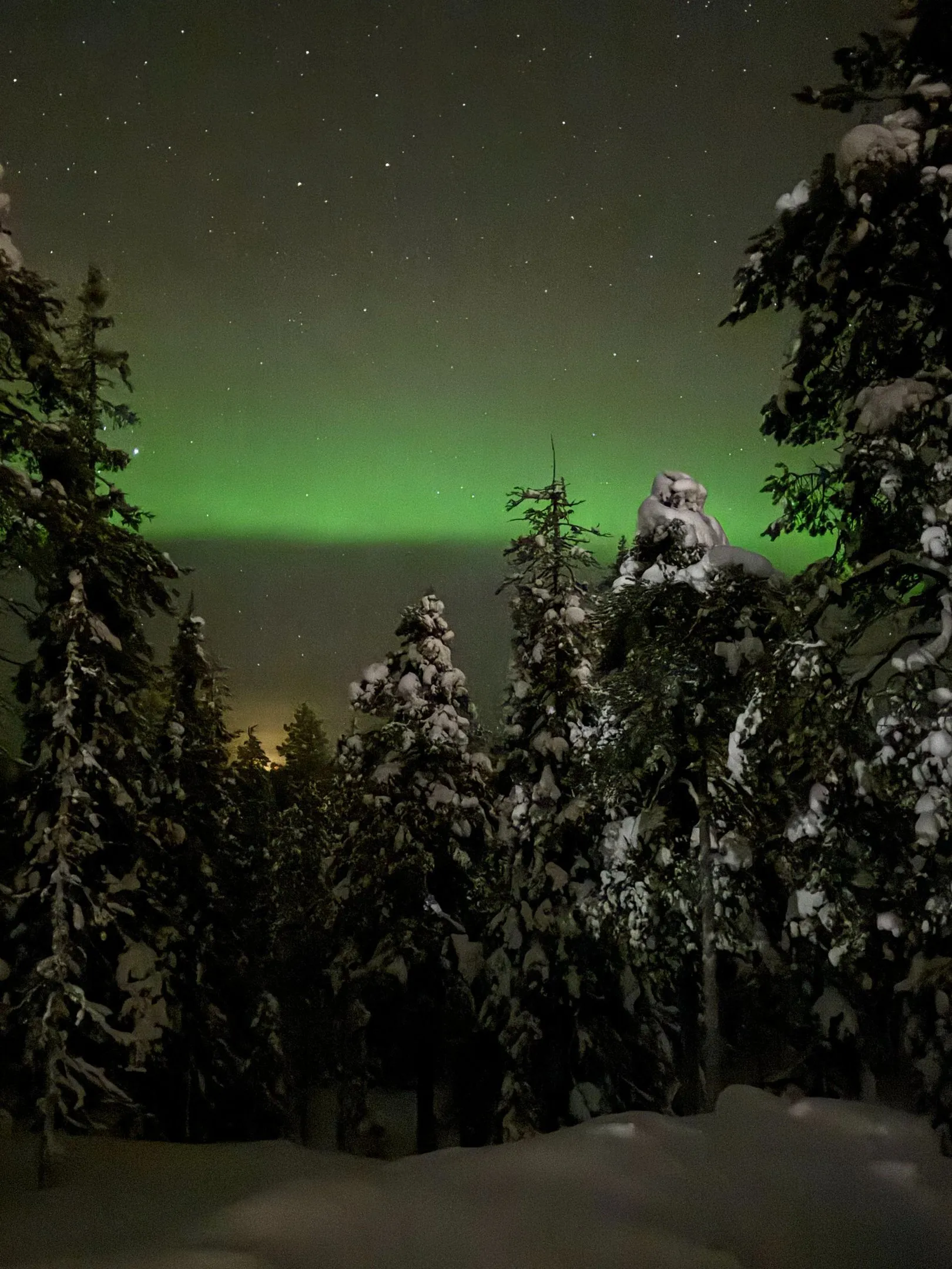 Oulanka Nationalpark. Bild 12