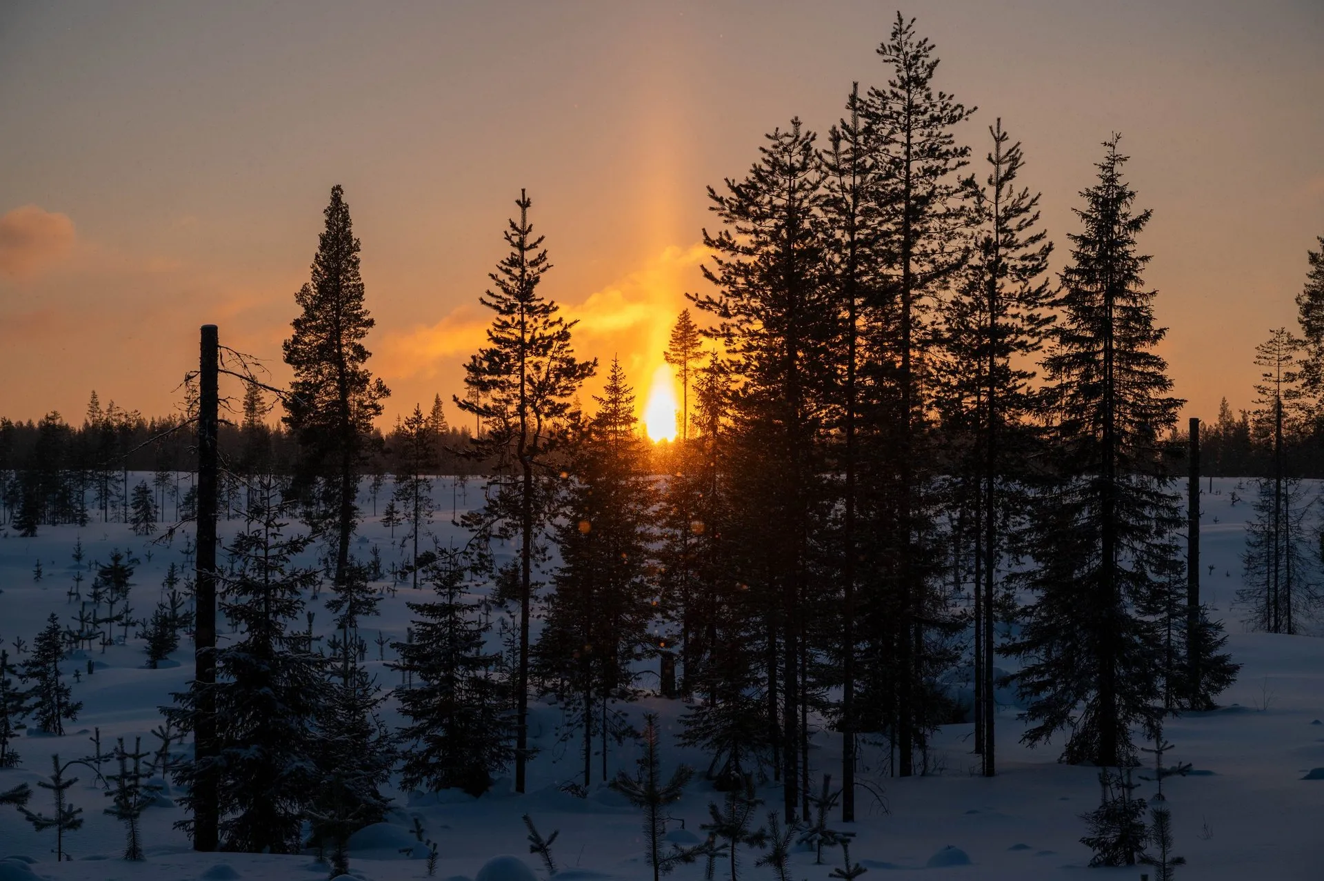 Oulanka Nationalpark. Bild 6